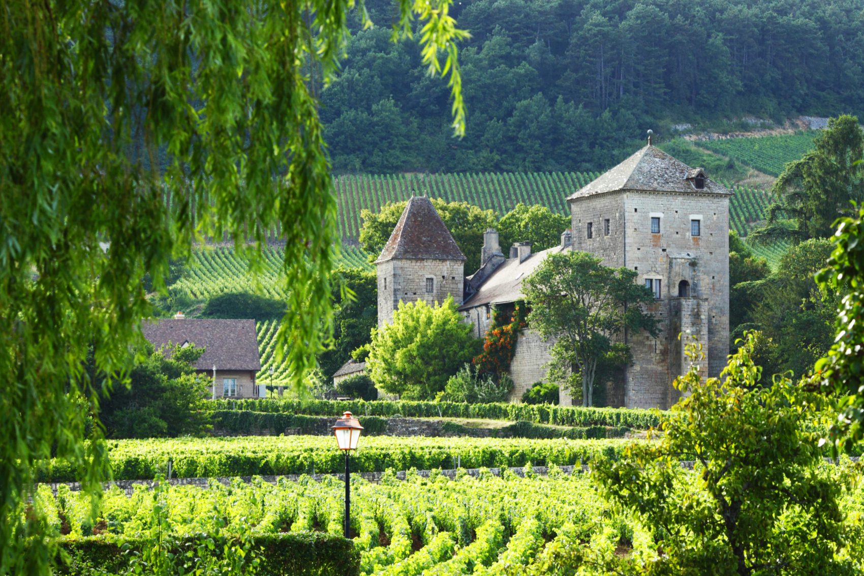 Burgundy trip from paris