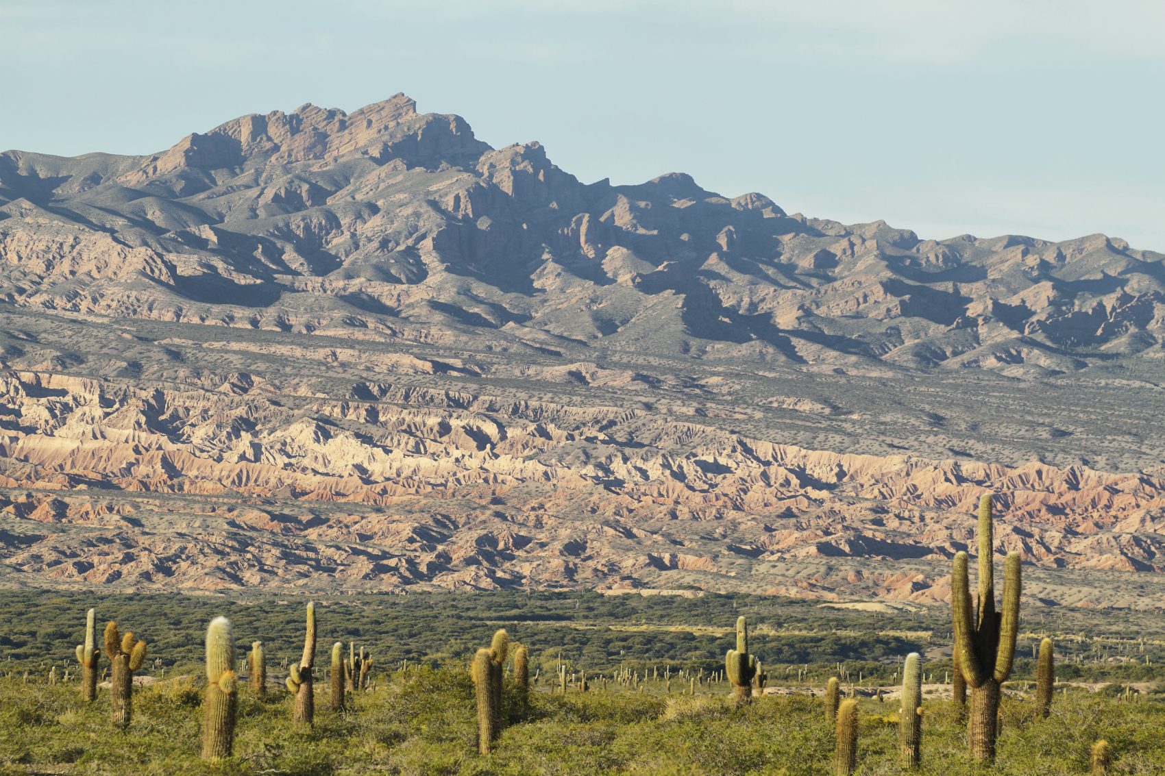 National Route 40 Argentina