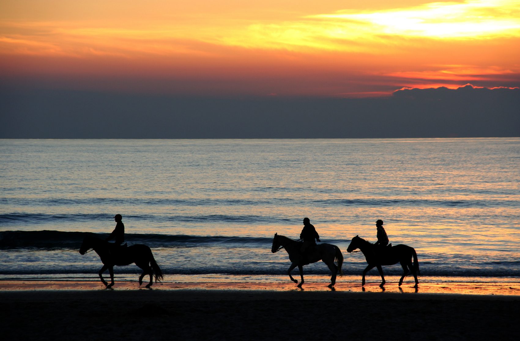 Spain horse riding