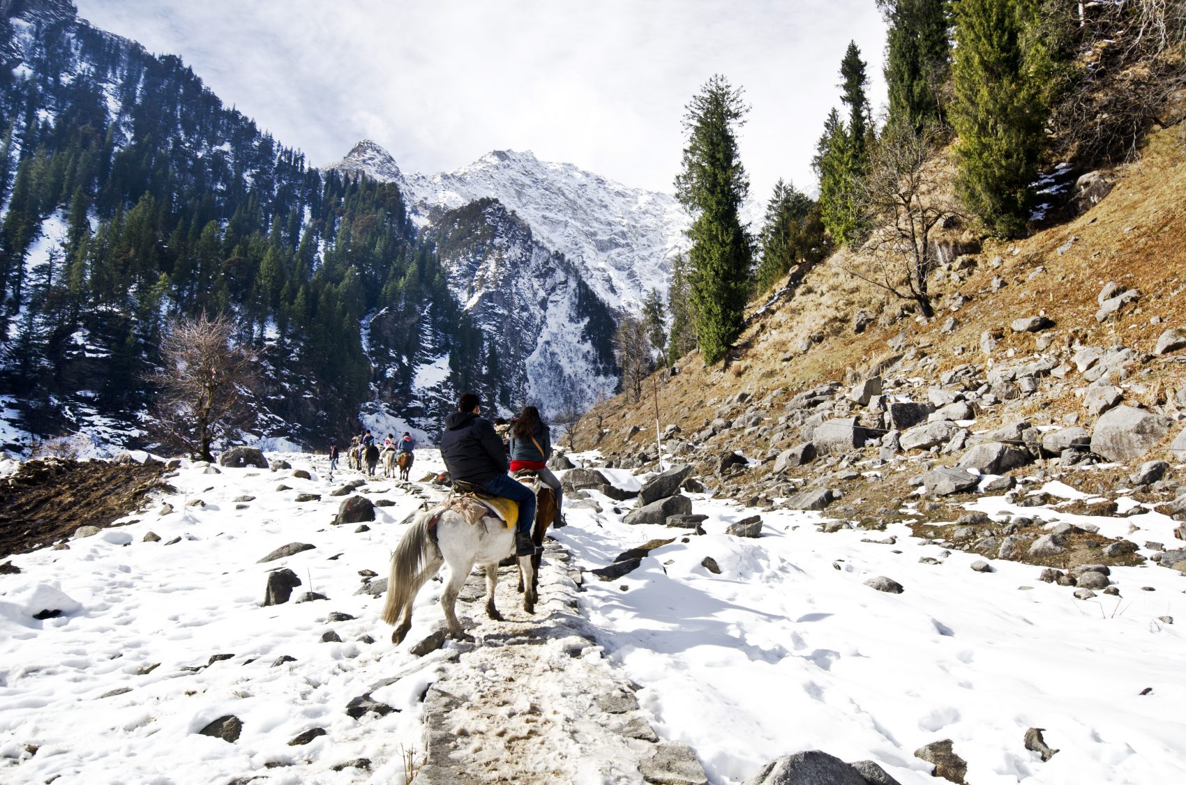Solang Valley horseriding