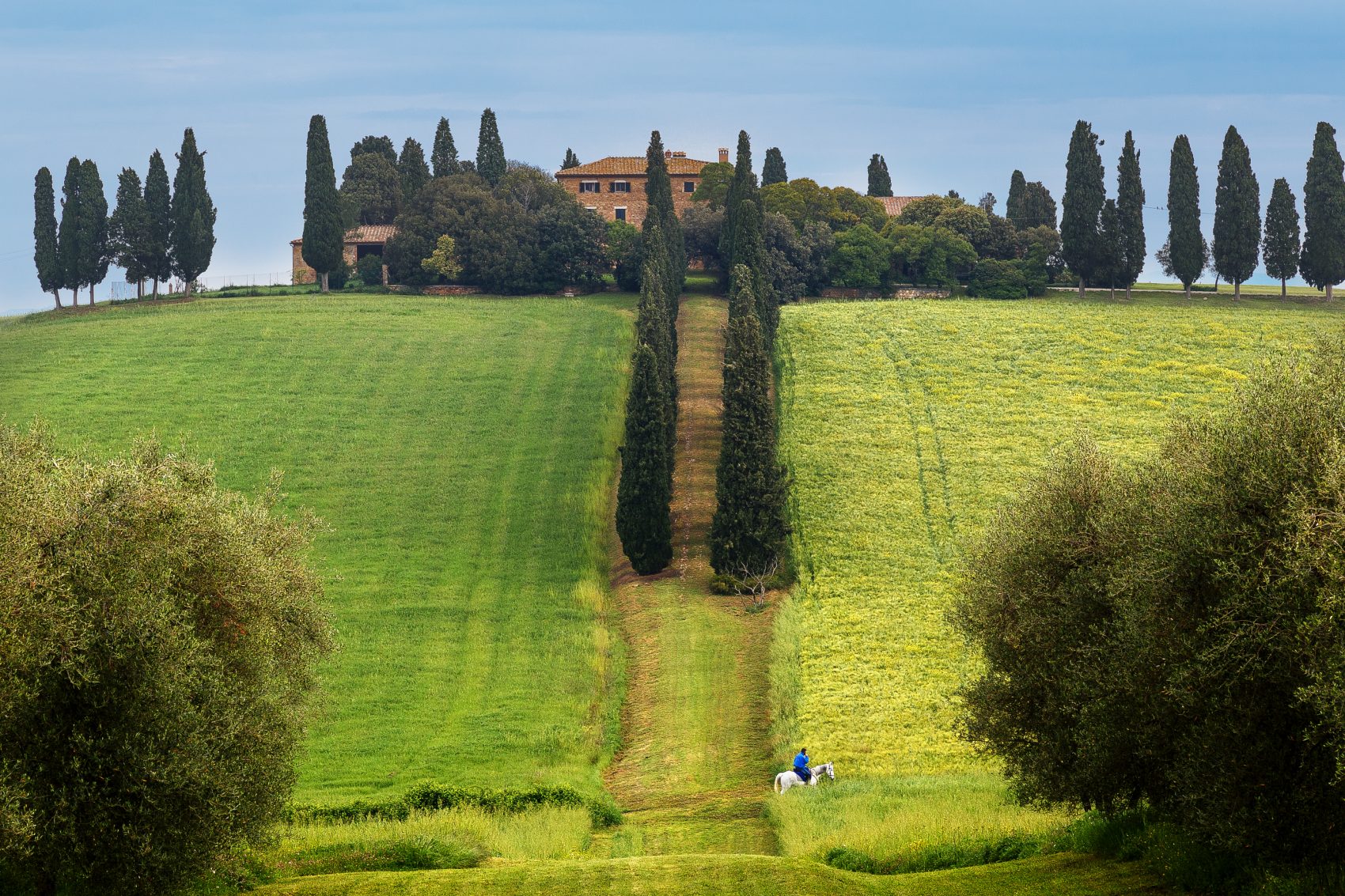 Horse riding in Tuscany